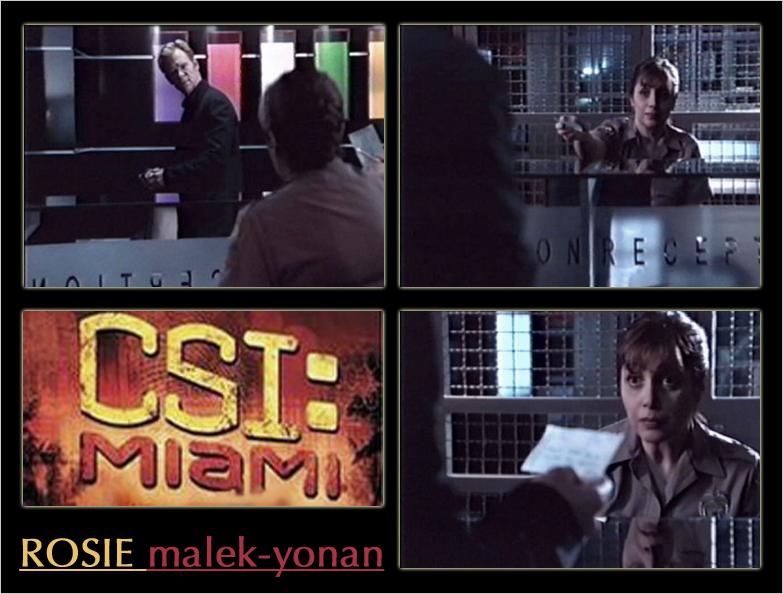 CSIMiami-RosieMalek-Yonan